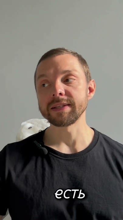 Осознанность - YouTube