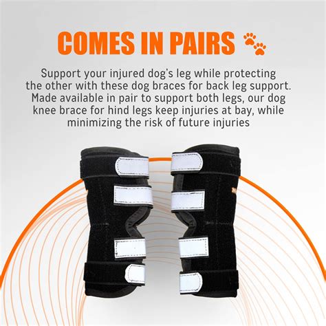 Buy NeoAlly Dog Braces for Back Legs Super Supportive with Dual Metal ...