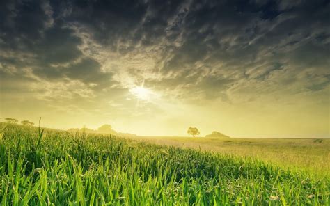 X Resolution Green Grass Field Digital Art Sky Sunlight