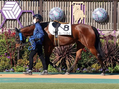 【一口馬主日記】tcライオン特別編！ カズキ一口馬主