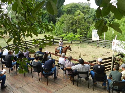 V Deo Haras Equinovale Faz Curso B Sico De R Deas Taiadaweb