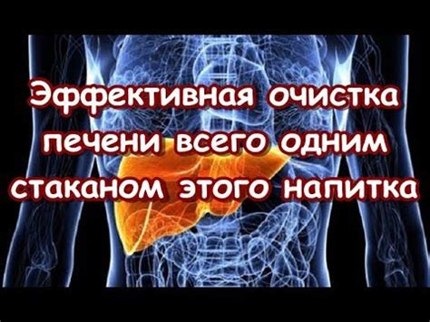 Эффективная очистка печени всего одним стаканом этого напитка - YouTube