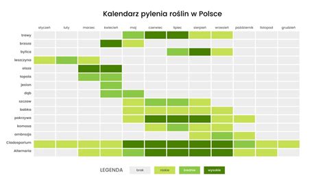 Co Pyli W Odzi Sprawd Kalendarz Pyle D Nasze Miasto