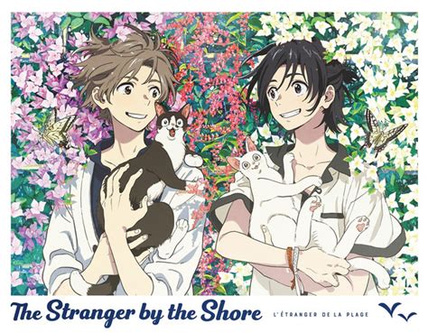 anime review stranger   shore life  cartoon motion