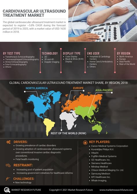 Cardiovascular Ultrasound Market Size Trends Growth Report