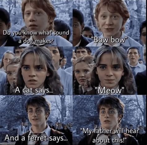 37 Harry Potter Memes For Hogwarts Students Spending The Holidays