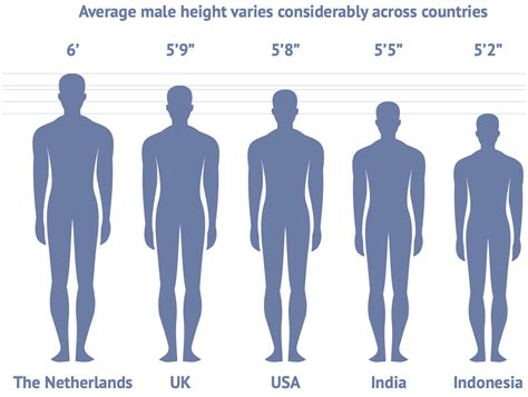 Oc Height Chart And Comparison By Iisjah On Deviantart 40 Off