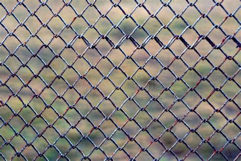 Iron Texture from an Old Rusty Mesh Fence in a Fence in the Street ...