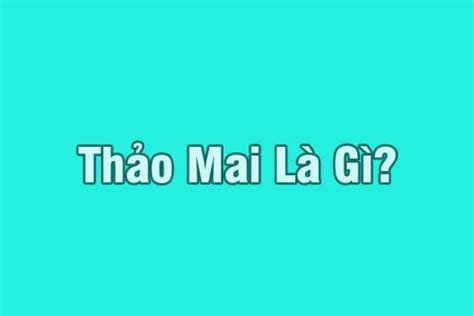 Thảo Mai Là Gì Thế Nào được Gọi Là Người Thảo Mai