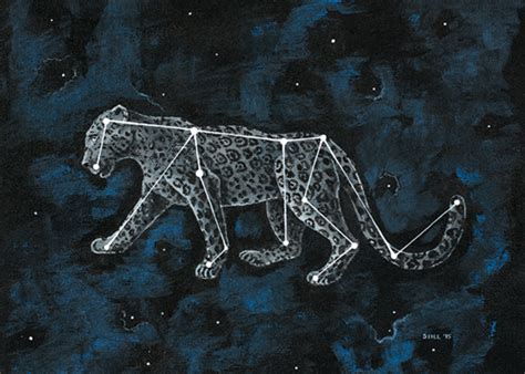 Созвездие Тигра На Небе Картинки – Telegraph