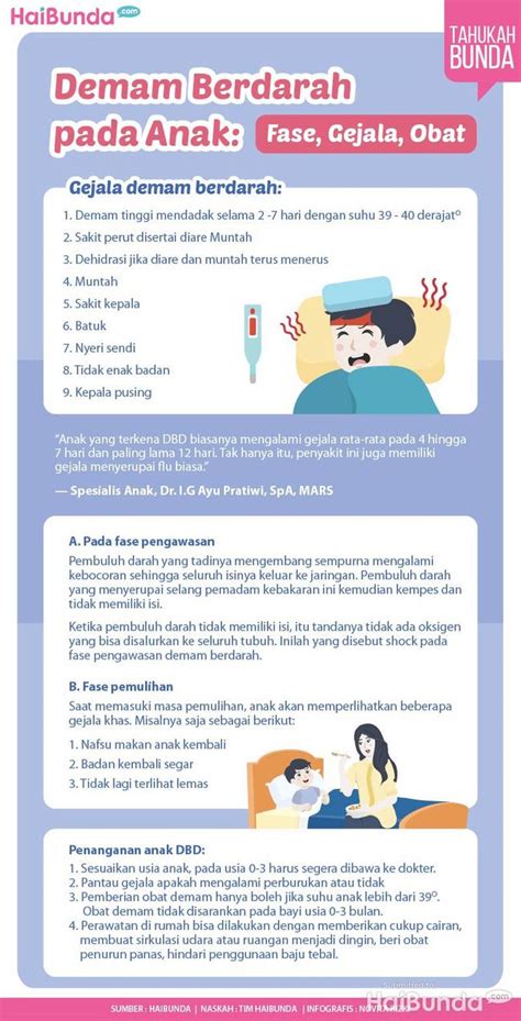 Demam Berdarah Pada Anak Fase Gejala And Obat