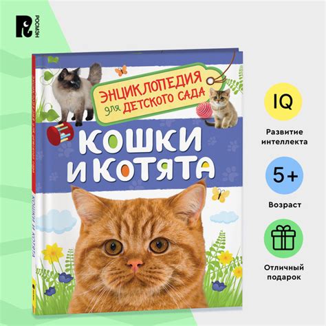 Кошки и котята. Энциклопедия для детского сада. Познавательные факты ...