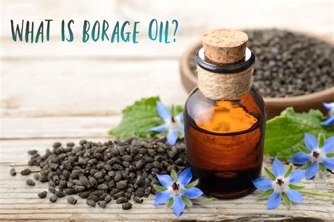 What Is Borage Oil? - The Coconut Mama