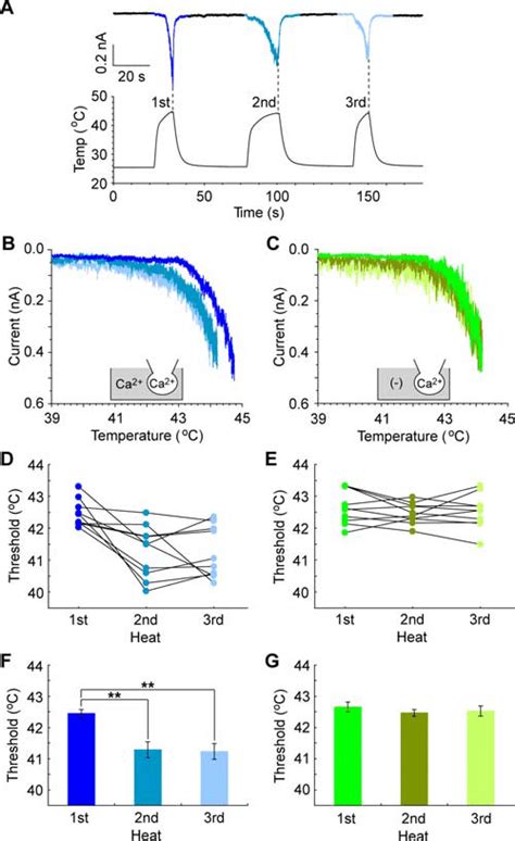 Temperature thresholds in repeated exposure to heat. A, Multiple ...