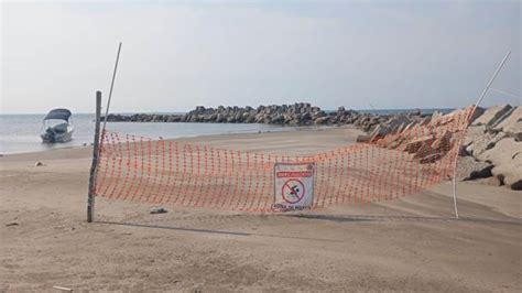 Se ahoga turista en playa de Antón Lizardo Veracruz