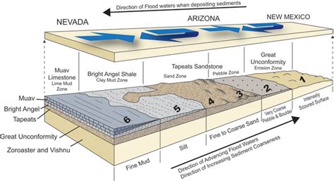 lateral layers  geologic strata  institute  creation research