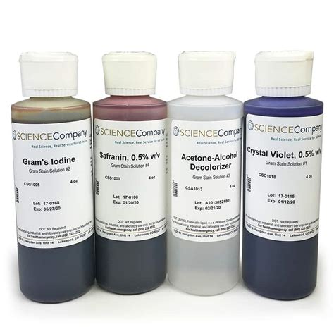 Gram Staining Kits At Robin Josefa Blog