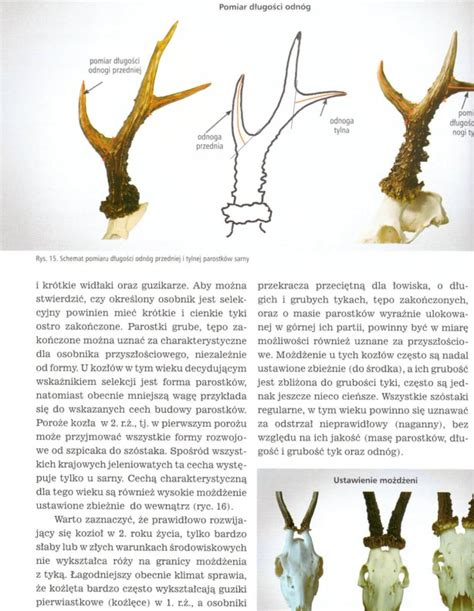 Podr Cznik Selekcjonera Jeleniowate I Muflon Dariusz Zalewski