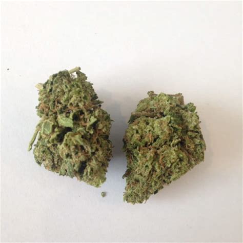 Blackberry Og Weedpedia Coupons And Reviews