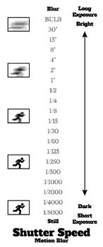 Exposure Triangle Chart Pack by Certifiable Associates | TPT