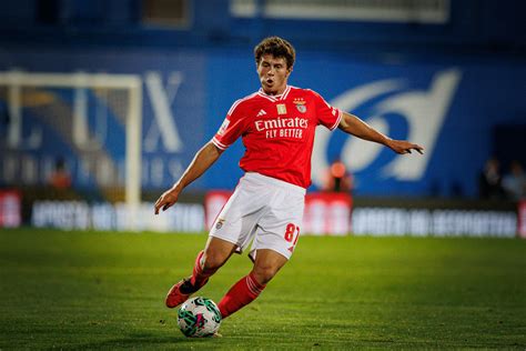 Report: Benfica's Hidden Gem Lures Premier League Giants