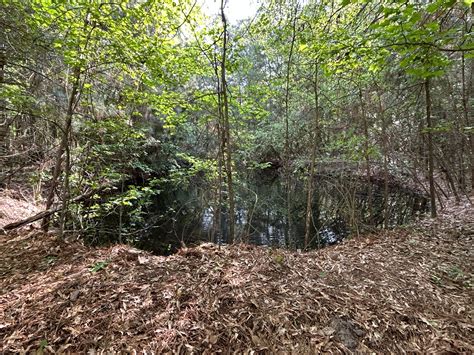 Land For Sale Garrison Tx Flexible Financing Available