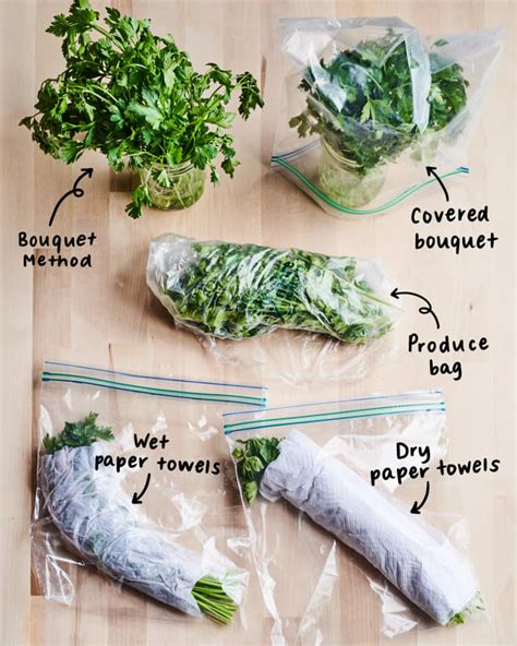 We Tried 5 Methods For Storing Herbs And Found A Clear Winner The Kitchn