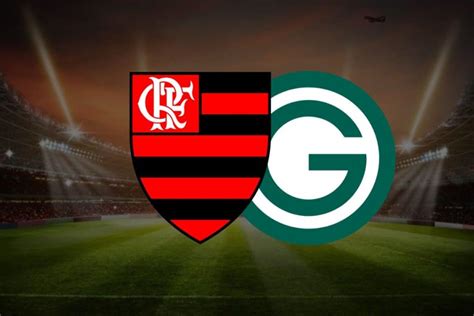 Flamengo X Goi S Onde Assistir Ao Vivo Hor Rio E Escala Es Minha