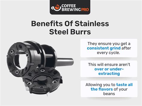 DeLonghi KG89 Coffee Grinder Review 2024: Should You Buy It?