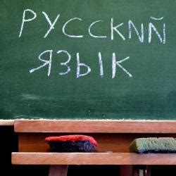 Тесты по русскому языку для 8 класса онлайн | Online Test Pad