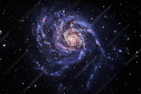 Pinwheel Galaxy - Stock Image - R862/0017 - Science Photo Library