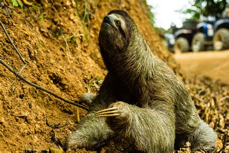 Costa Rica Day 3 Lilys Bad Ass Adventure Day It S A Creekmore World