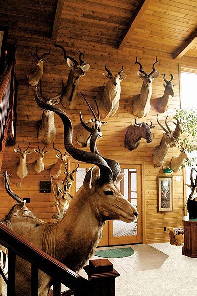 Trophy Rooms Taxidermy Decor Deer Head Wall Decor