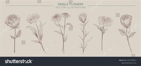 Single Flower Vector Illustration Set Stock Vector Royalty Free