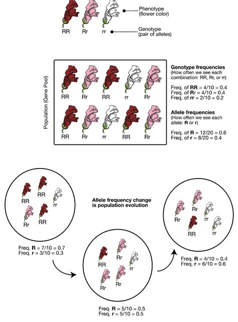 Forces of Evolution – Explorations: An Open Invitation to Biological