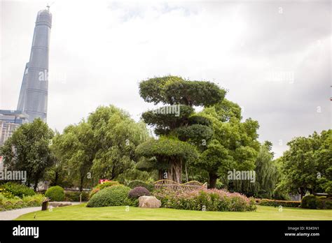 yuan garden  shanghai stock photo alamy