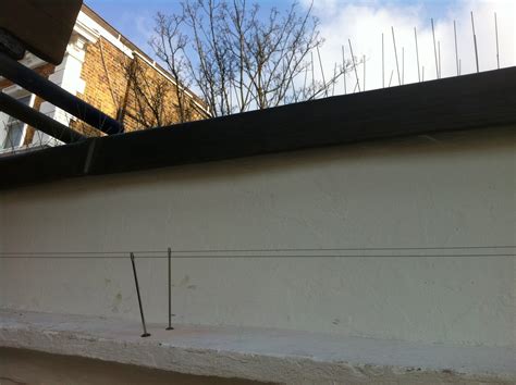 Courtfield Gardens, Earls Court, London - Propest Bird Control