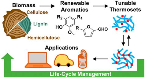 Aromatics From Lignocellulosic Biomass A Platform For High Performance