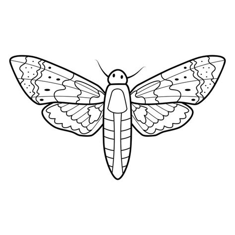 Livre De Coloriage Ou Page Pour Les Enfants Vecteur De Papillon Noir