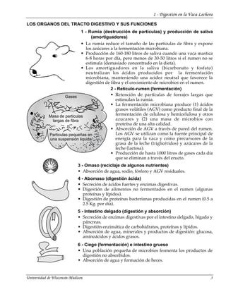 1 Digestion En Vacas Lecheras PDF