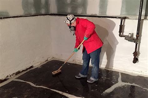 'Beneath The Grime: 7 Essential Steps To Turning Your Basement Into A Sanctuary'