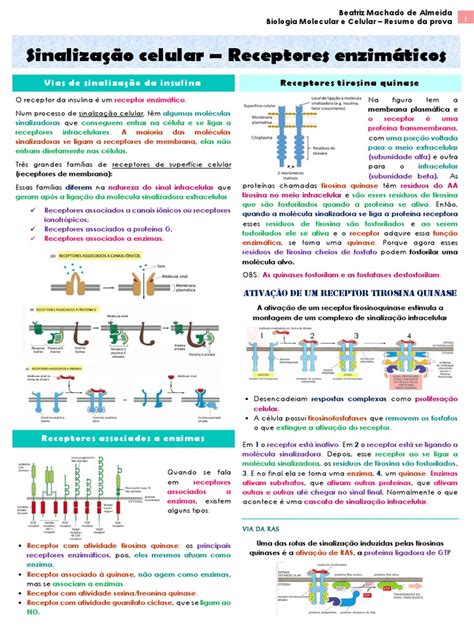 Biologia Molecular Resumo - Biologia Molecular e Celular - Resumo da prova 2.pdf | PDF | Tirosina ...