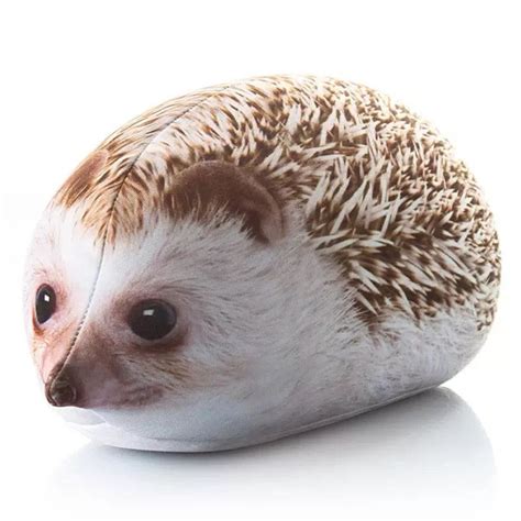 Реалистичная Антистресс-подушка "Ежик" - купить с доставкой по выгодным ...