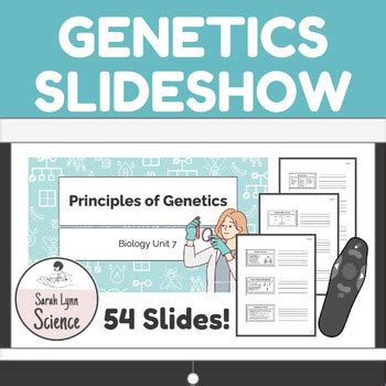Genetics PowerPoint and Slides Presentation by Sarah Lynn Science