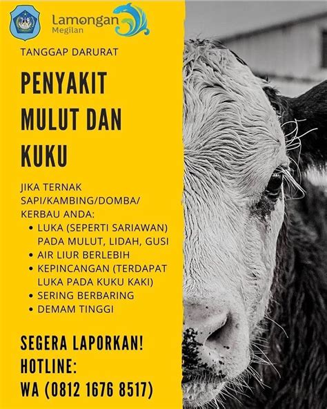 Tanggap Darurat Penyakit Mulut Dan Kuku Pada Hewan Ternak Kecamatan