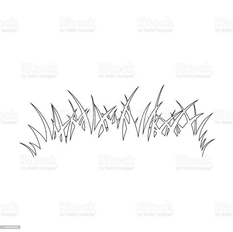 Green Grass Isolated On White Backgroundflowers Stock Illustration Download Image Now Grass