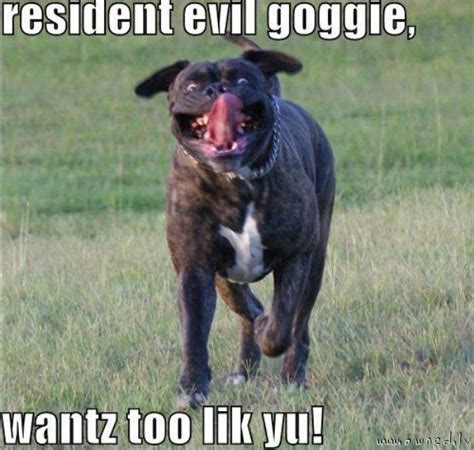 Resident evil dog. Owned.lv