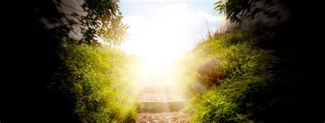 creating space  light channeled amanda shertzer