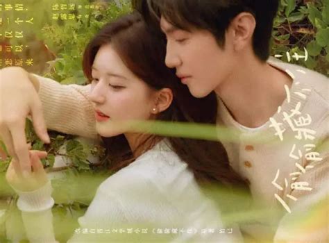 Hidden Love Starring Zhao Lusi And Chen Zheyuan Confirms Its Premiere