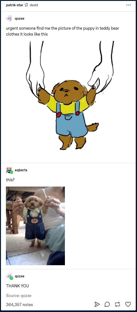 Ideias De Gay Memes Memes Engra Ado Lgbt